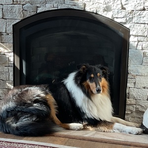 Fundraising Page: Keith Atlas